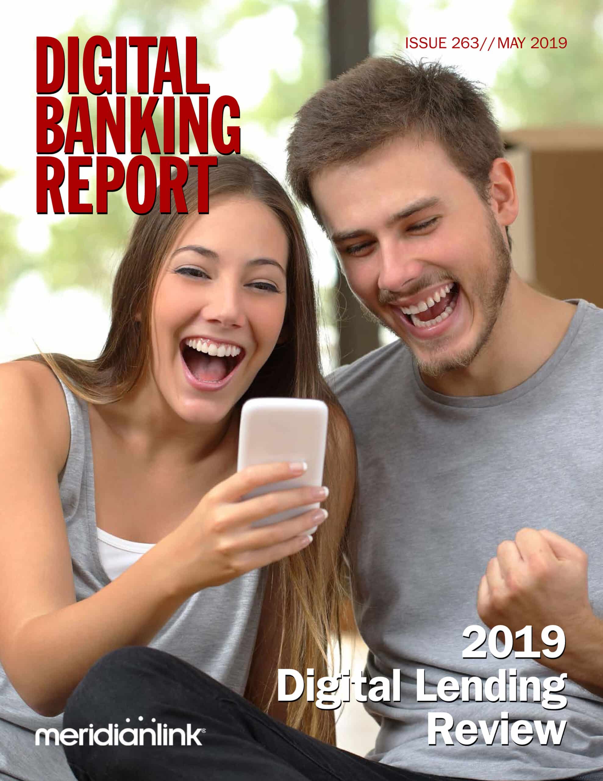 DBR_263 - 2019 Digital Lending Cover 5-31