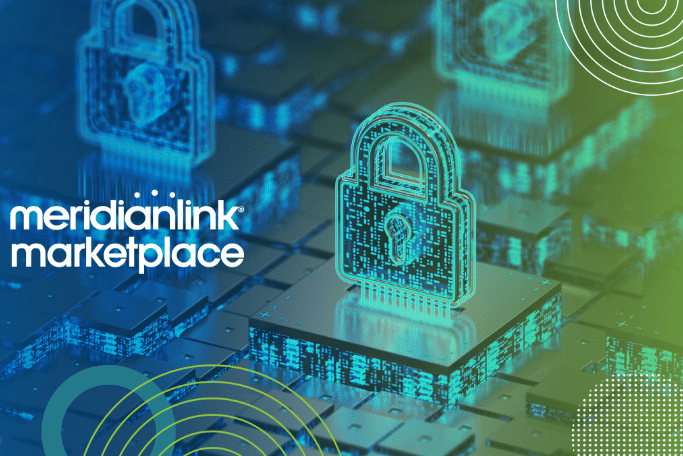 Fraud protection services in MeridianLink Marketplace