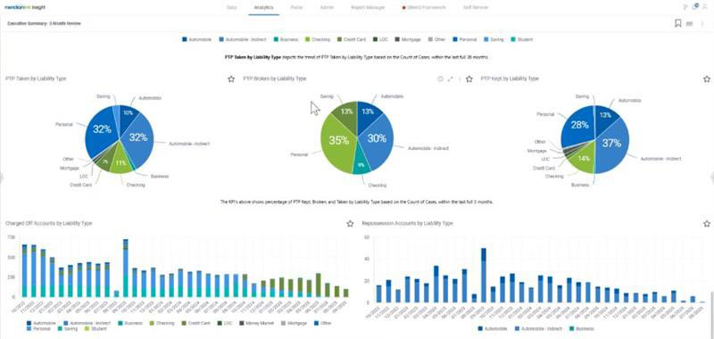 MeridianLink Insight for Connect View Screenshot