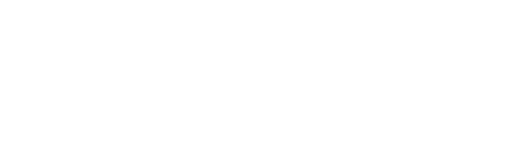 verisys logo