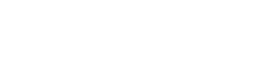 flex point logo white