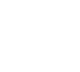 DX logo
