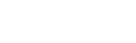 netforce logo