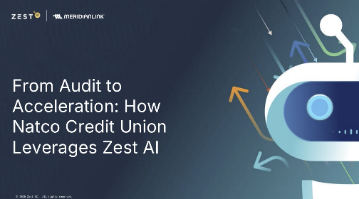 Small Team, Big Impact: How Natco CU scaled strategy and compliance with LuLu Strategy