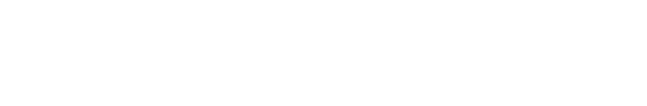 Publix Employees Federal Credit Union logo white